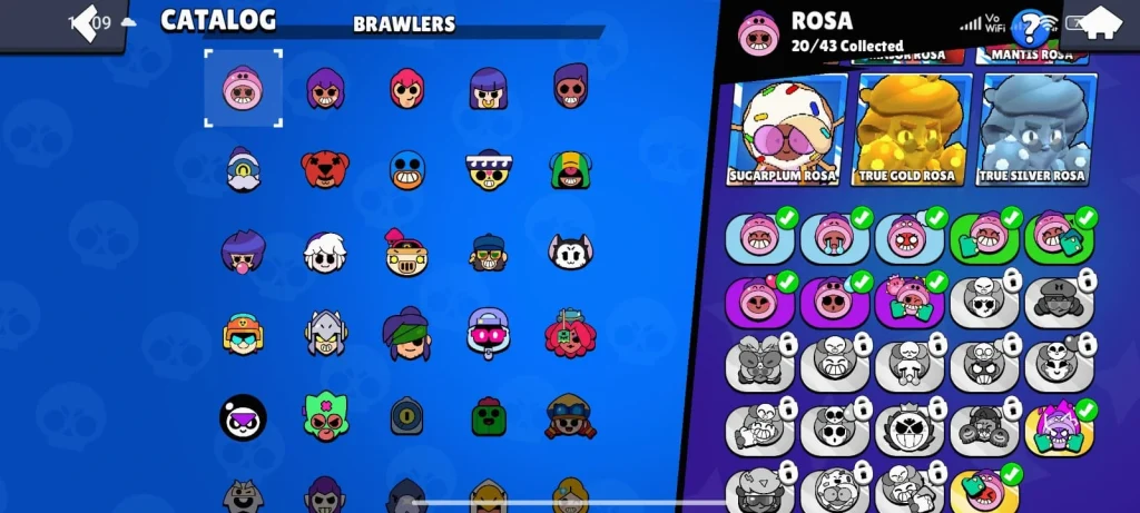 image of Brawlers, Brawl Stars APK